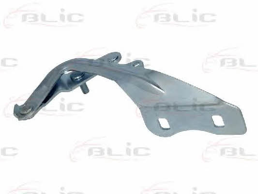 Buy Blic 6802002533451P – good price at EXIST.AE!