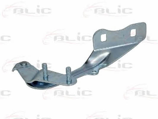 Hood hinge Blic 6802-00-2533451P