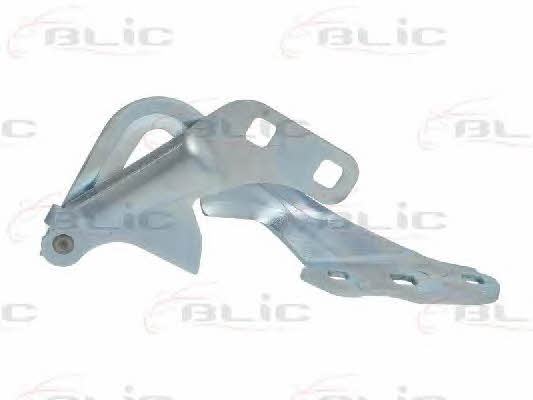 Hood hinge Blic 6802-00-2556452P