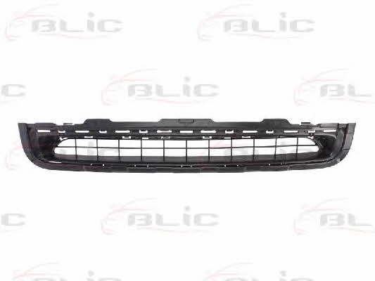 Grille radiator Blic 6502-07-6050990P