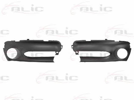 Front bumper grill Blic 5510-00-6046995P