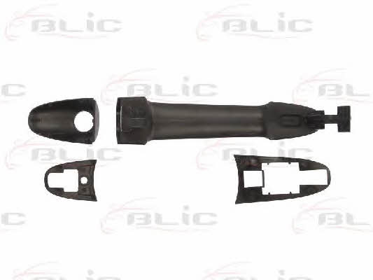 Handle-assist Blic 6010-02-065401P