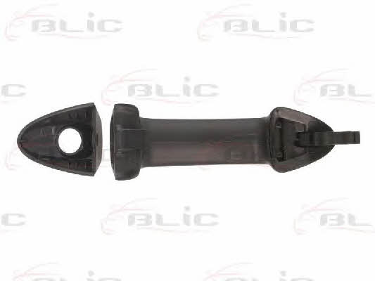Handle-assist Blic 6010-03-046401P