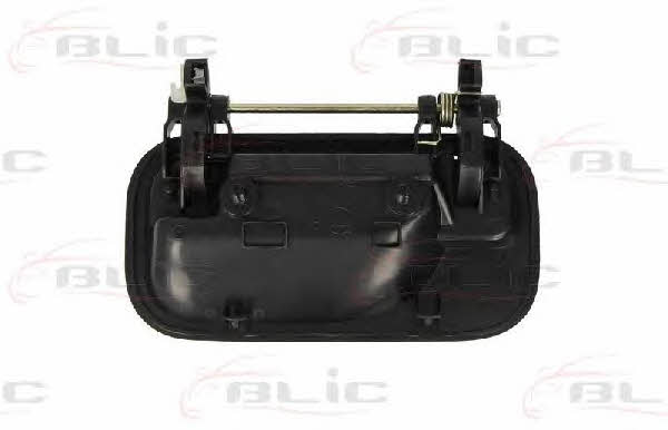 Handle-assist Blic 6010-04-004404P