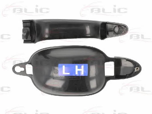 Handle-assist Blic 6010-05-017403P