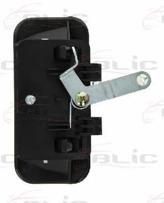Handle-assist Blic 6010-03-025402P