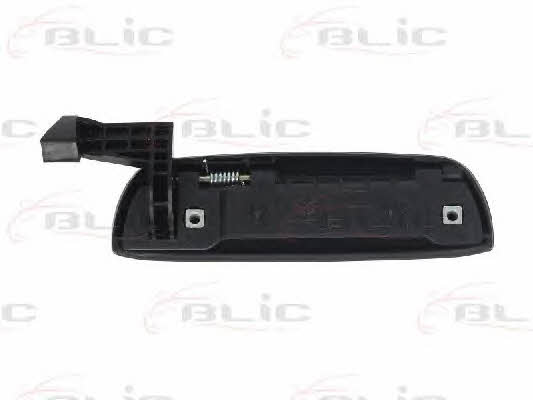 Handle-assist Blic 6010-07-013401P