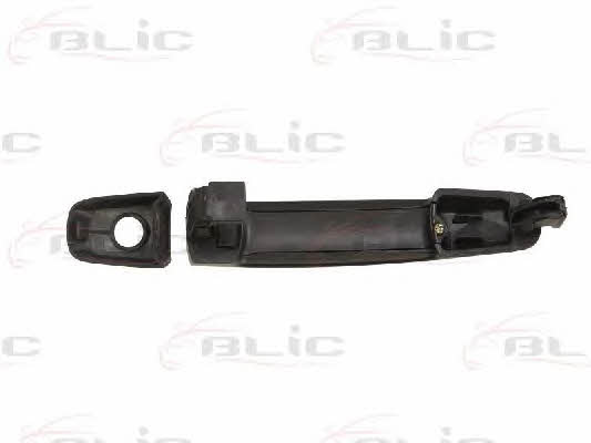 Handle-assist Blic 6010-18-021401P