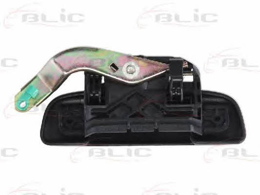 Handle-assist Blic 6010-21-013401P