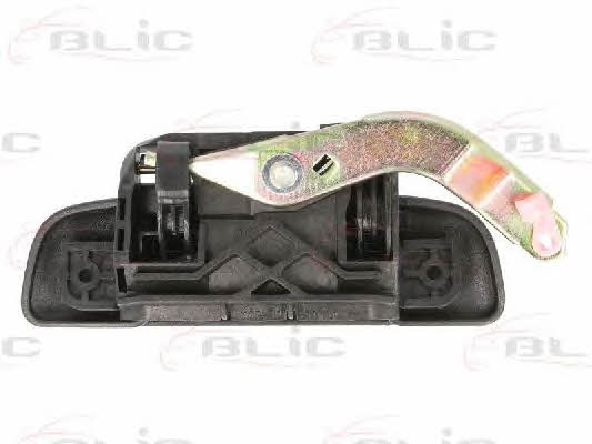 Handle-assist Blic 6010-21-013402P