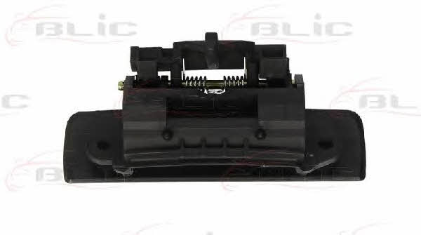 Handle-assist Blic 6010-08-005403P