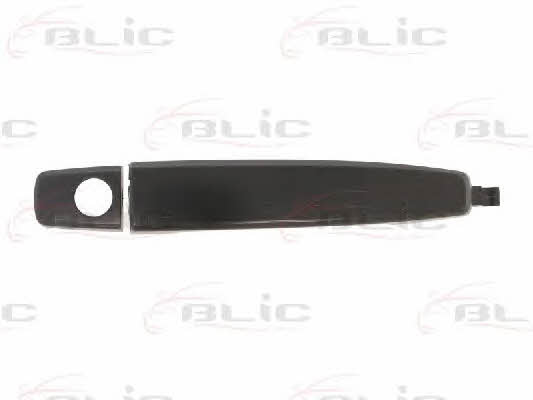 Handle-assist Blic 6010-56-009401P
