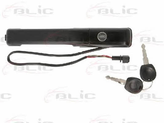Handle-assist Blic 6010-01-008401P
