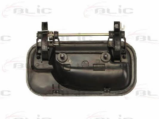 Handle-assist Blic 6010-04-004403P