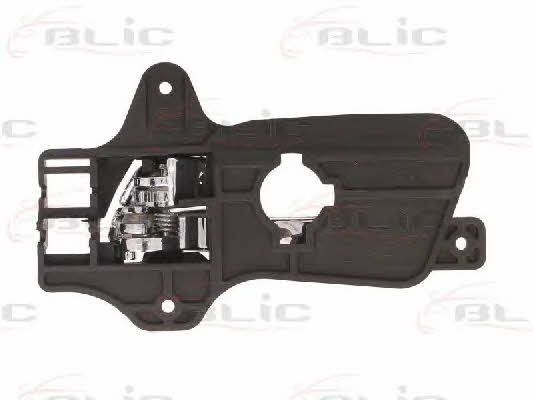 Handle-assist Blic 6010-20-034408P