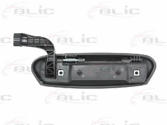 Handle-assist Blic 6010-07-027401P