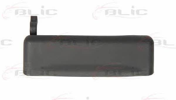 Handle-assist Blic 6010-03-024401P