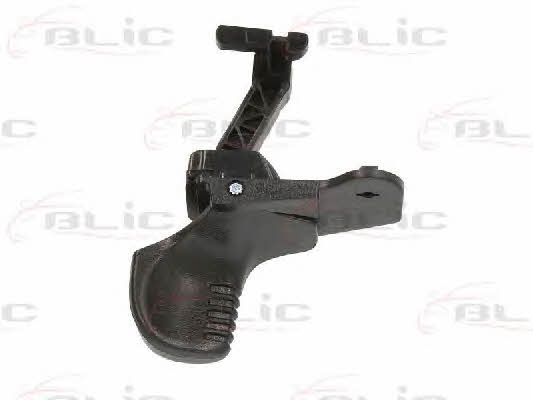 Handle-assist Blic 6010-09-011401P