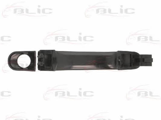 Handle-assist Blic 6010-01-039401P
