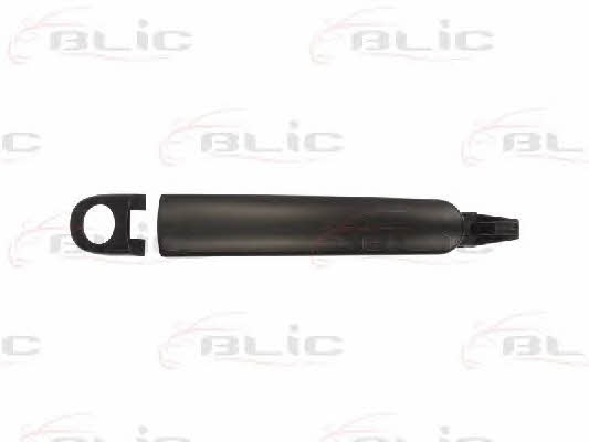 Handle-assist Blic 6010-10-010401P