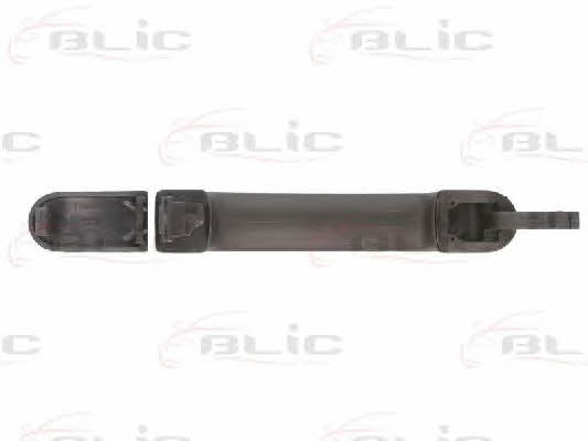 Handle-assist Blic 6010-03-033402P