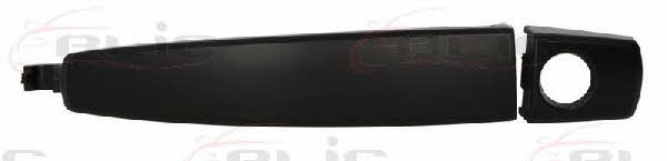 Handle-assist Blic 6010-04-042401P