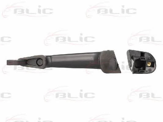 Handle-assist Blic 6010-05-013403P