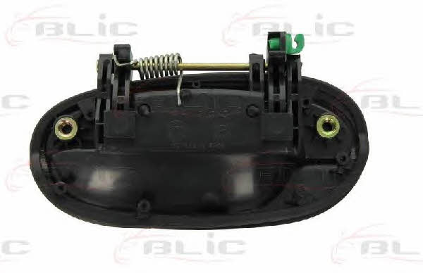 Handle-assist Blic 6010-56-007404P