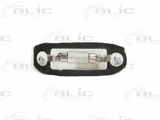 540205211905 Blic License lamp