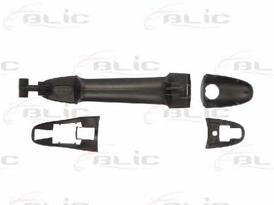 Handle-assist Blic 6010-02-065417P