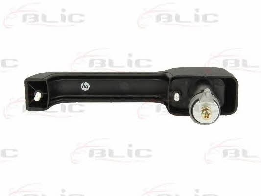 Handle-assist Blic 6010-07-015402P