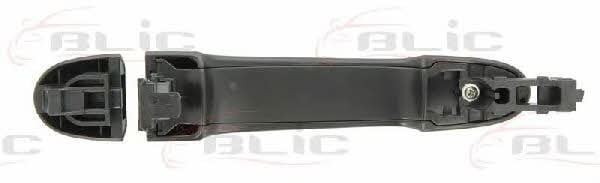 Handle-assist Blic 6010-16-059402P