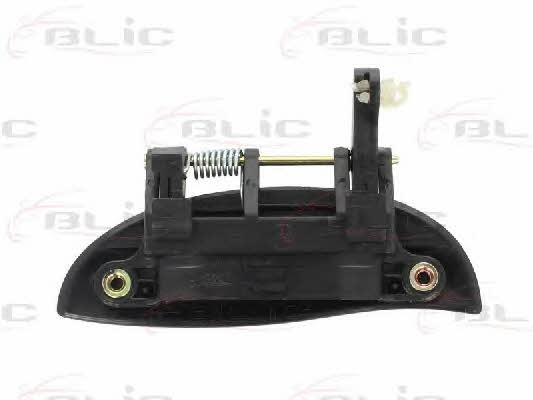 Handle-assist Blic 6010-20-013404P