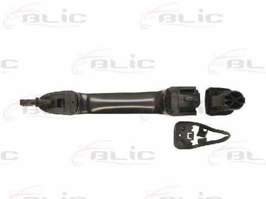 Handle-assist Blic 6010-07-040402P