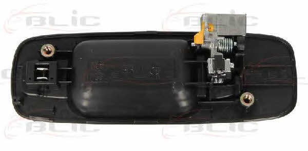 Handle-assist Blic 6010-16-029404P
