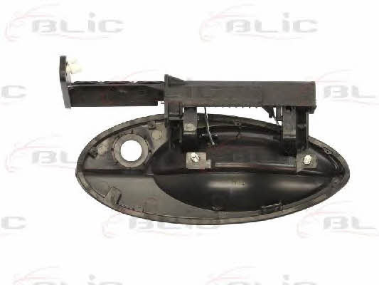 Handle-assist Blic 6010-21-020401P