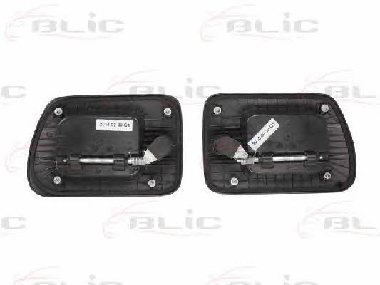 Handle-assist Blic 6010-30-004407P