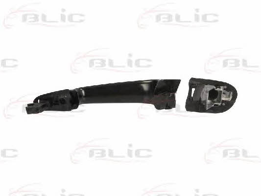 Handle-assist Blic 6010-05-013402P