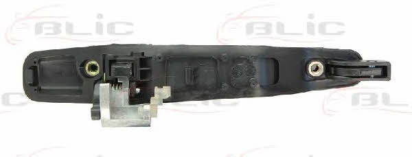 Handle-assist Blic 6010-15-038404P