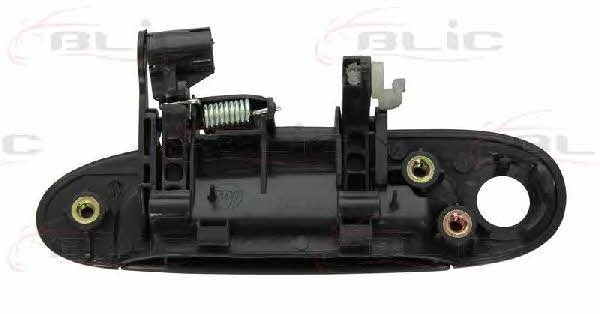 Handle-assist Blic 6010-19-039402P