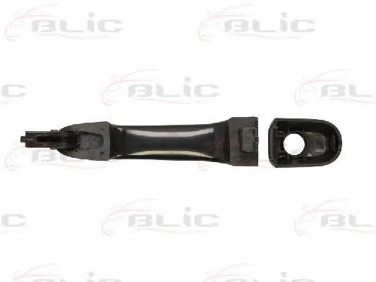 Handle-assist Blic 6010-53-019401P