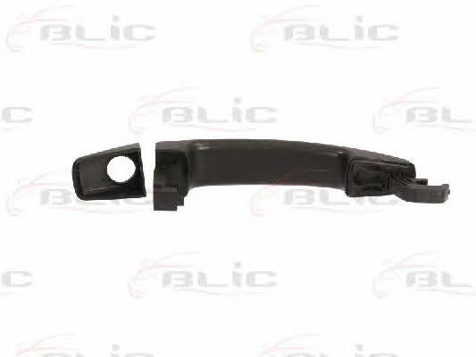 Handle-assist Blic 6010-04-048401P