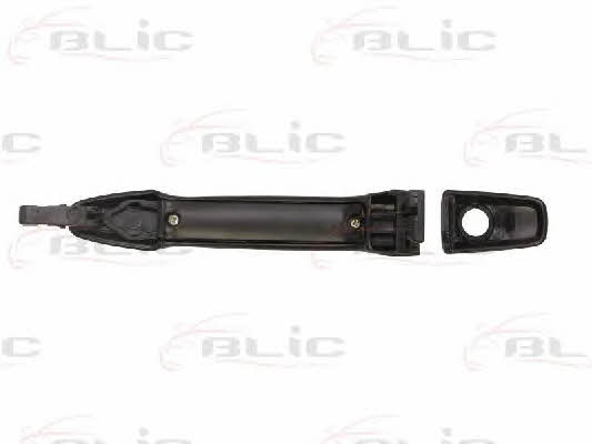 Handle-assist Blic 6010-15-051401P