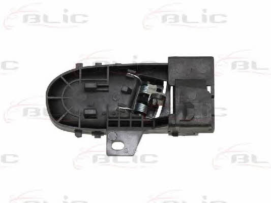 Handle-assist Blic 6010-18-001409P
