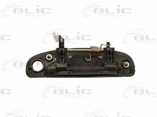 Handle-assist Blic 6010-20-027401P