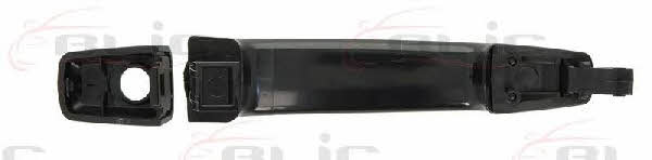 Handle-assist Blic 6010-56-005405P