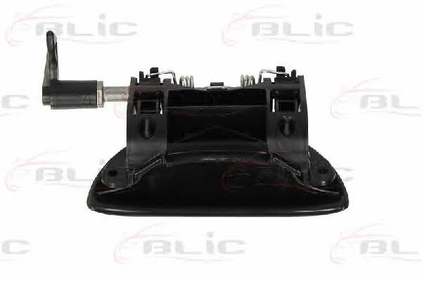 Handle-assist Blic 6010-08-015403P