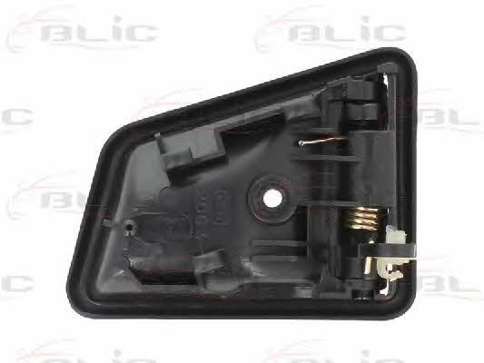 Handle-assist Blic 6010-18-004409P