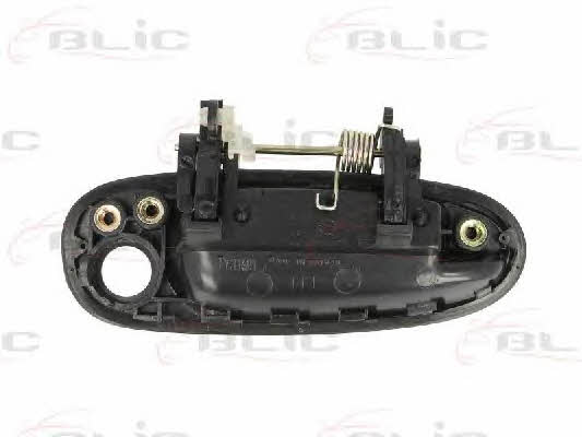 Handle-assist Blic 6010-19-002401P