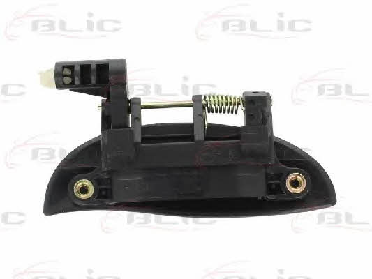 Handle-assist Blic 6010-20-013401P
